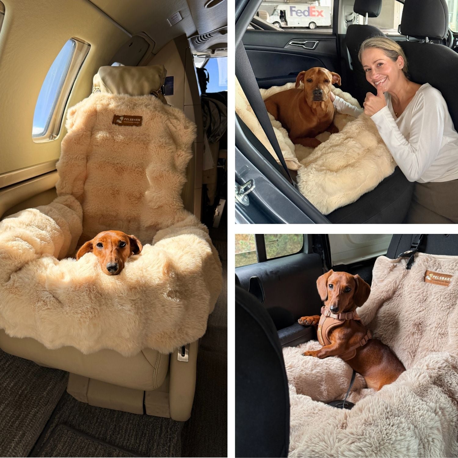 The Pelsbarn car bed in three different cars with dogs settled in it
